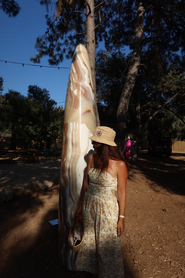 Desenli Kemerli Straplez Elbise