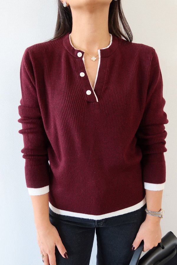 Hakim Yaka Düğmeli İki Renkli Triko