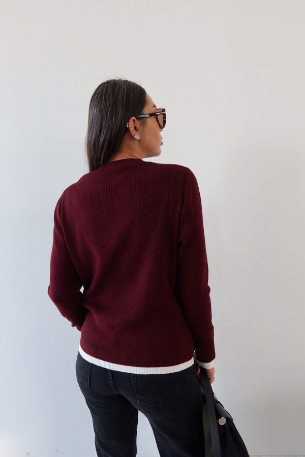 Hakim Yaka Düğmeli İki Renkli Triko